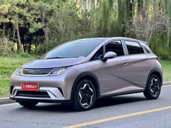 BYD Dolphin 2021 Model Free Edition – фото 1