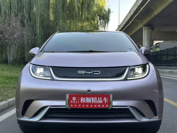 BYD Dolphin 2021 Model Free Edition – фото 2