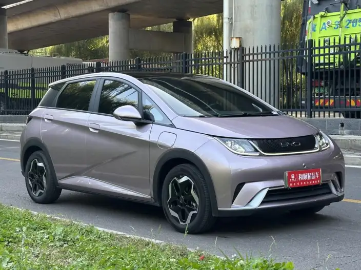 BYD Dolphin 2021 Model Free Edition – фото 3