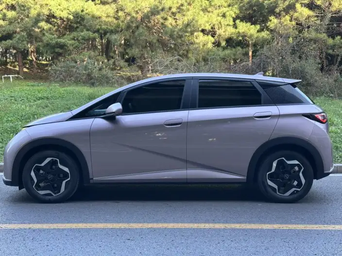 BYD Dolphin 2021 Model Free Edition – фото 4