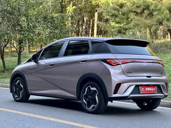 BYD Dolphin 2021 Model Free Edition – фото 5