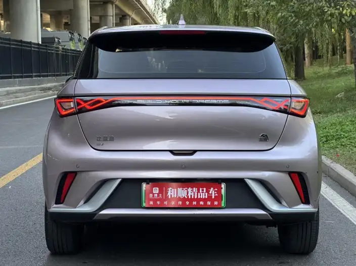 BYD Dolphin 2021 Model Free Edition – фото 6