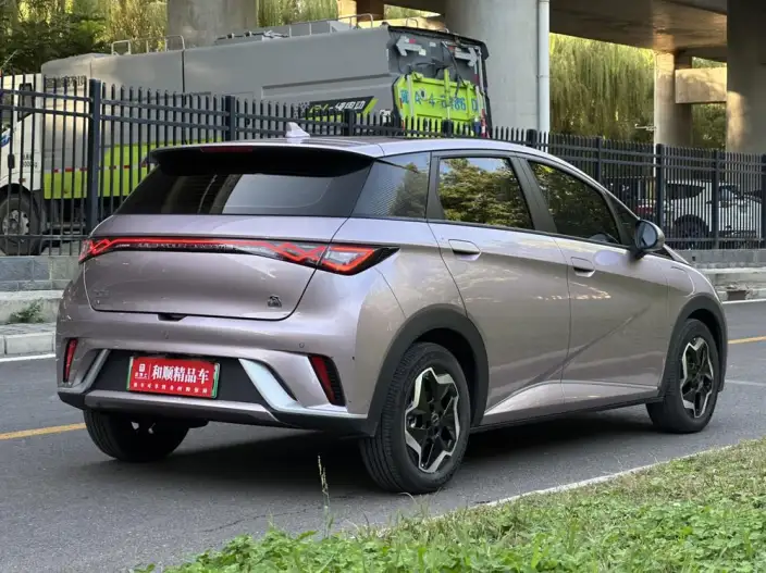BYD Dolphin 2021 Model Free Edition – фото 7
