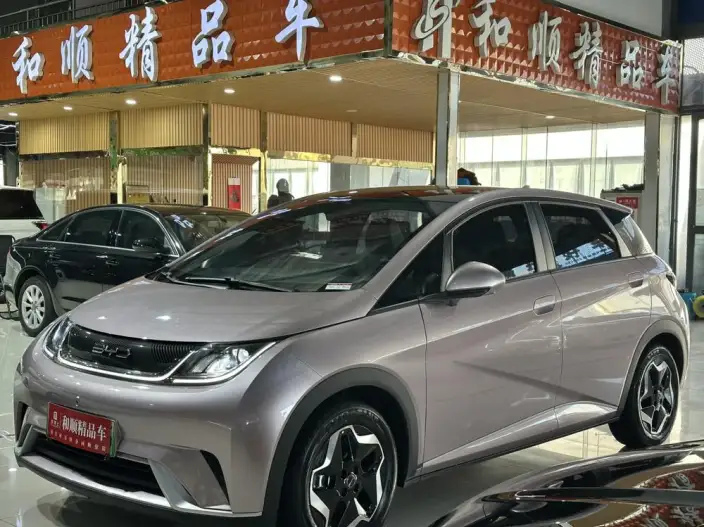 BYD Dolphin 2021 Model Free Edition – фото 8