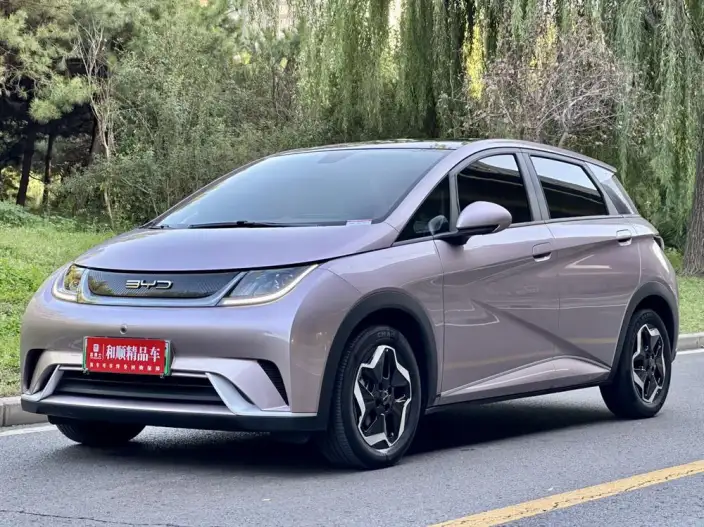 BYD Dolphin 2021 Model Free Edition – фото 10