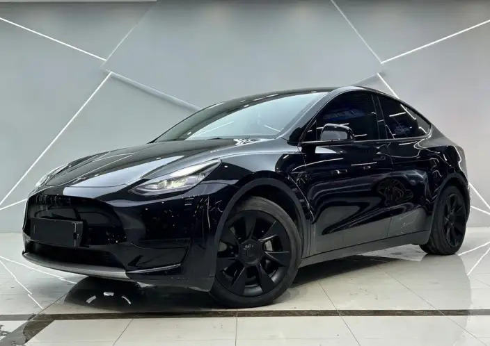 Model Y 2023 Model Rear-wheel drive version – фото 1