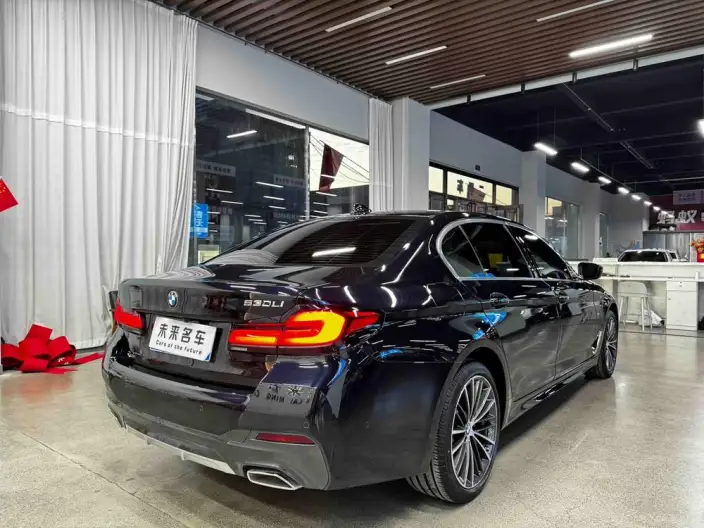 BMW 5 Series 2023 Model 530Li xDrive M Sports Set – фото 7