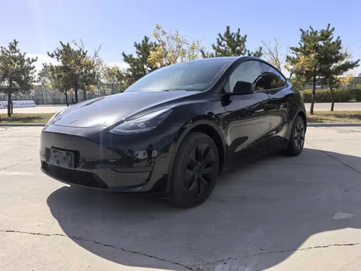 Model Y 2023 Model Rear-wheel drive version – фото 1