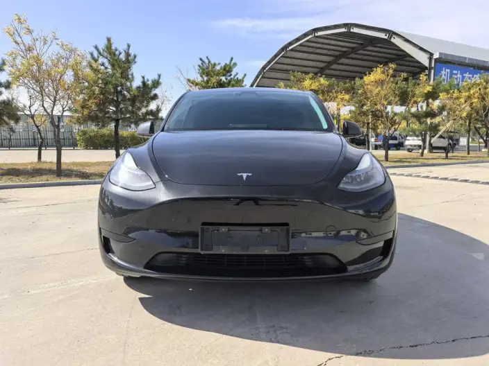 Model Y 2023 Model Rear-wheel drive version – фото 2