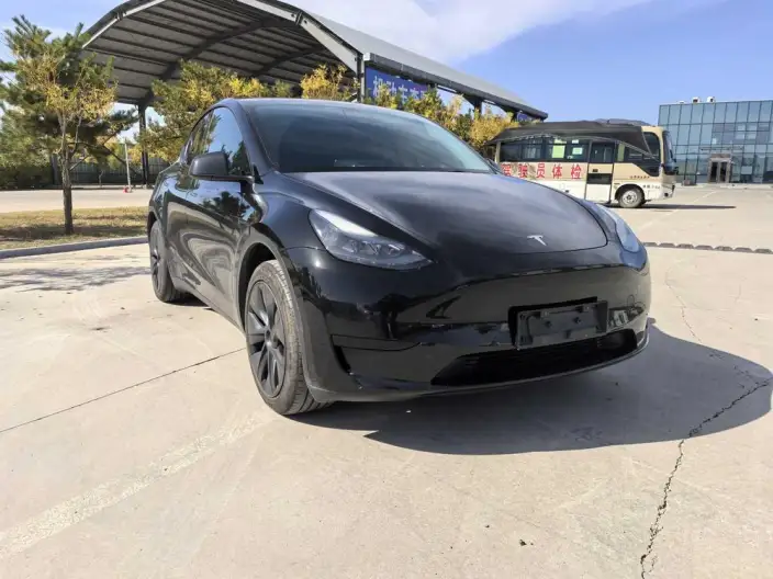 Model Y 2023 Model Rear-wheel drive version – фото 3
