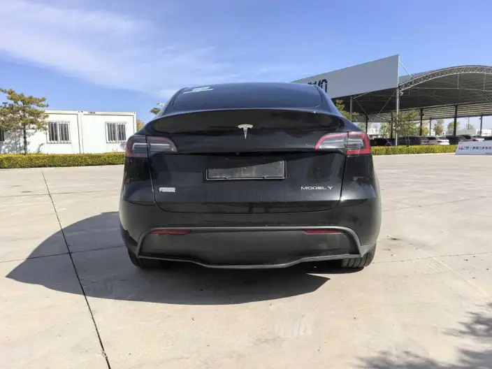 Model Y 2023 Model Rear-wheel drive version – фото 4