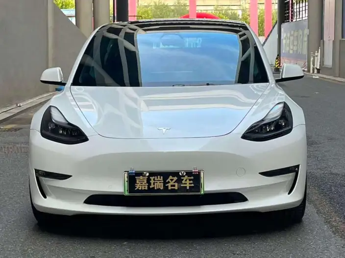 Model 3 2022 Model Performance High performance All-wheel drive version – фото 2