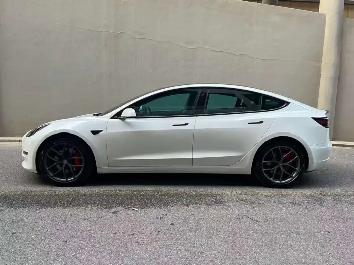 Model 3 2022 Model Performance High performance All-wheel drive version – фото 3