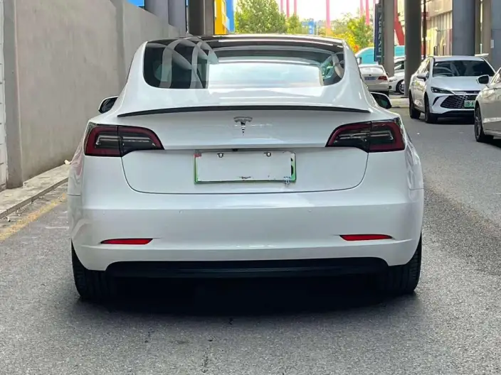 Model 3 2022 Model Performance High performance All-wheel drive version – фото 4
