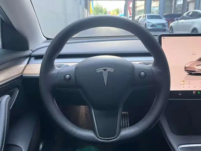 Model 3 2022 Model Performance High performance All-wheel drive version – фото 10