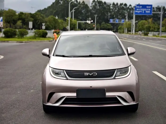 BYD Dolphin 2024 Model Honor Edition 420km Free Edition – фото 2
