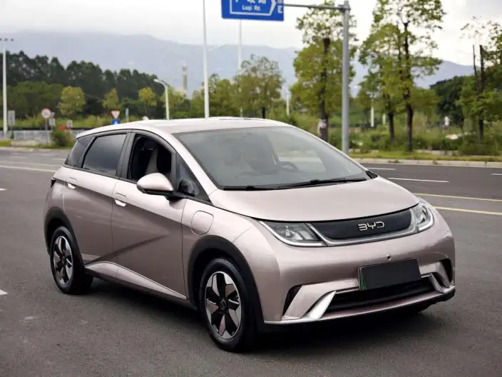 BYD Dolphin 2024 Model Honor Edition 420km Free Edition – фото 3