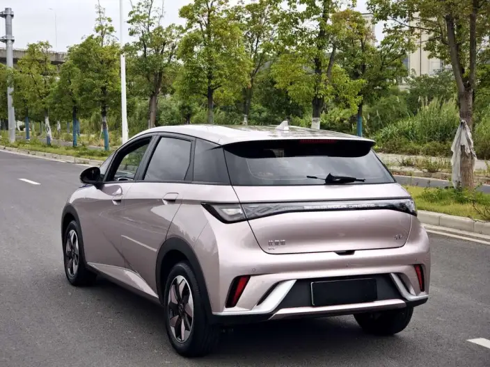 BYD Dolphin 2024 Model Honor Edition 420km Free Edition – фото 4