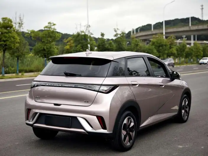 BYD Dolphin 2024 Model Honor Edition 420km Free Edition – фото 6