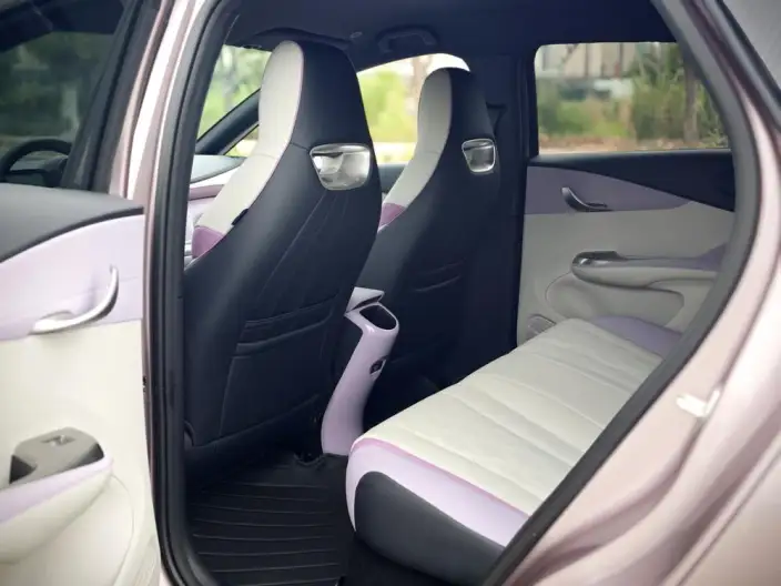 BYD Dolphin 2024 Model Honor Edition 420km Free Edition – фото 9