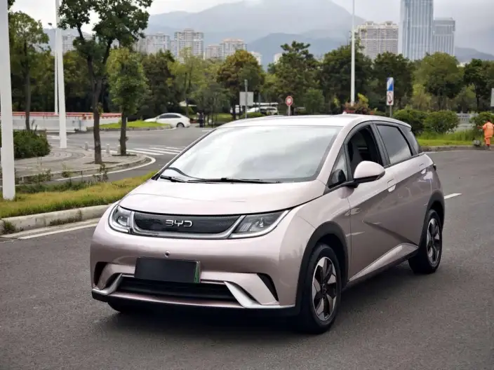 BYD Dolphin 2024 Model Honor Edition 420km Free Edition – фото 10