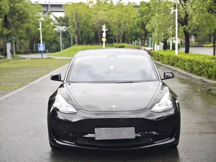 Model 3 2022 Model Rear-wheel drive version – фото 2
