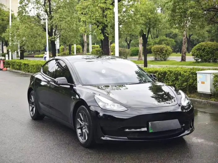 Model 3 2022 Model Rear-wheel drive version – фото 3