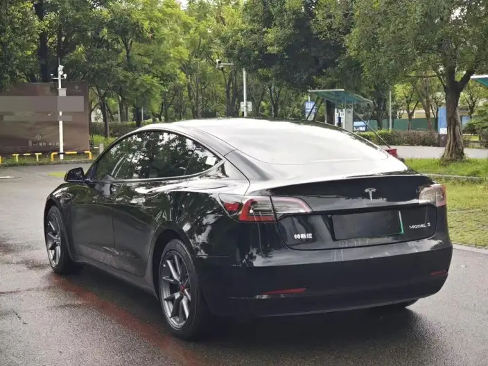Model 3 2022 Model Rear-wheel drive version – фото 4