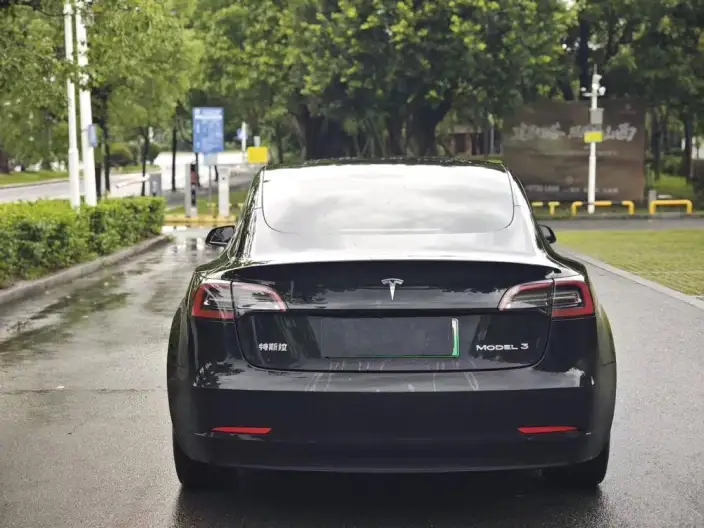 Model 3 2022 Model Rear-wheel drive version – фото 5