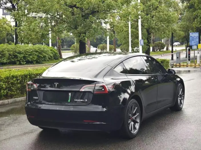Model 3 2022 Model Rear-wheel drive version – фото 6