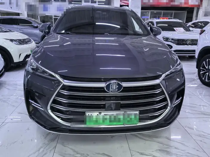 BYD Tang DM 2021 Model DM-i 1.5T 112KM Noble Model – фото 2