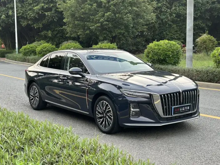 Hongqi H5 2024 Model 2.0T Automatic Flag Lead Edition – фото 3