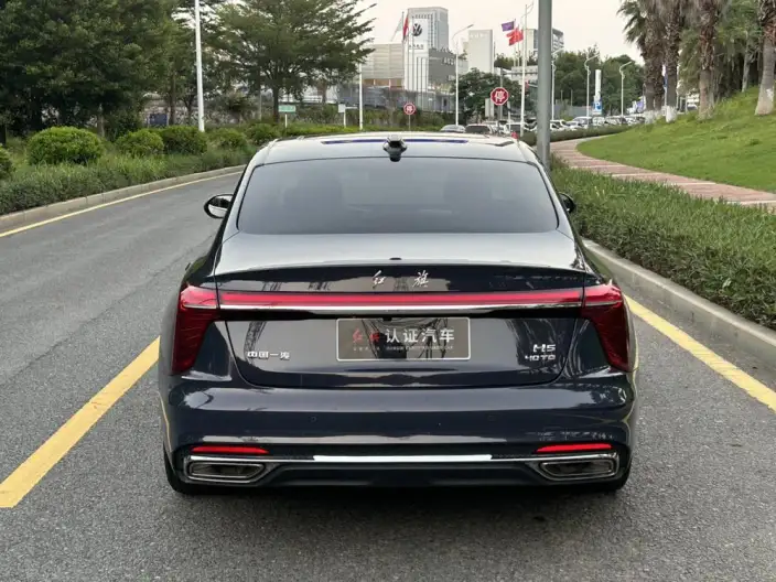 Hongqi H5 2024 Model 2.0T Automatic Flag Lead Edition – фото 5