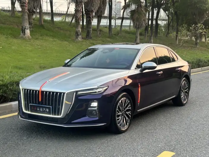 Hongqi H5 2025 Model 2.0T Automatic Flag Enjoy Edition – фото 1
