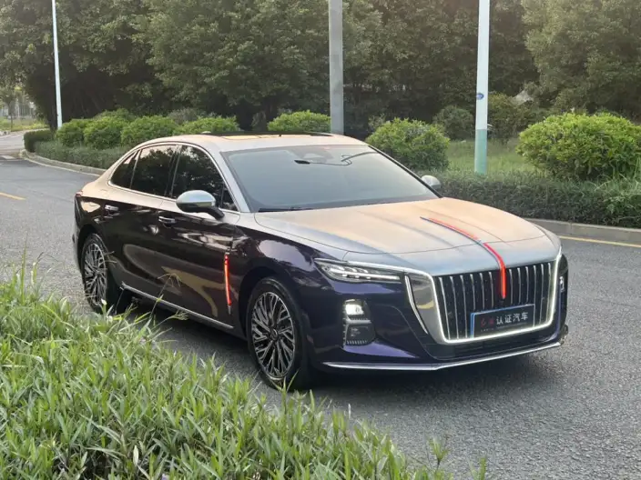 Hongqi H5 2025 Model 2.0T Automatic Flag Enjoy Edition – фото 3