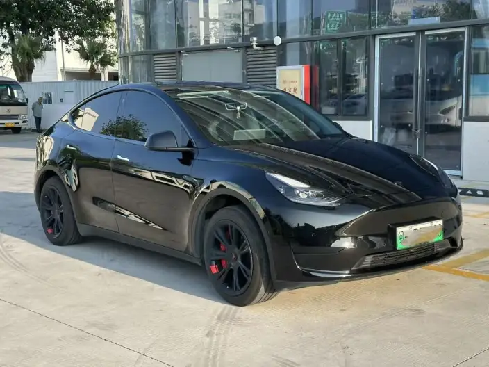 Model Y 2023 Model Rear-wheel drive version – фото 3