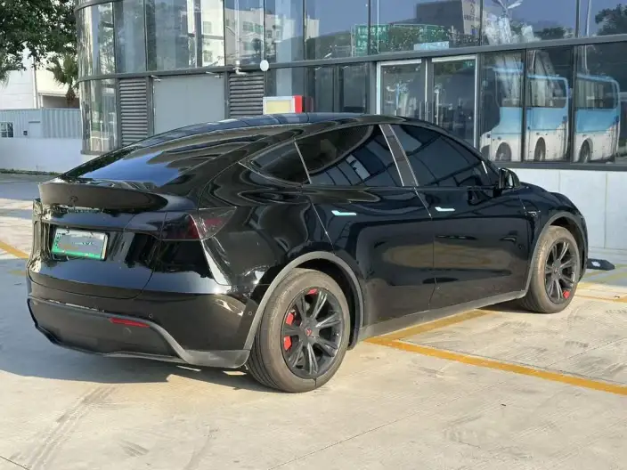 Model Y 2023 Model Rear-wheel drive version – фото 6