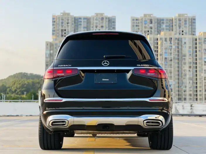 Mercedes-Benz GLS 2025 Model 3.0T Automatic 4WD 4 seat Parallel Imported – фото 5