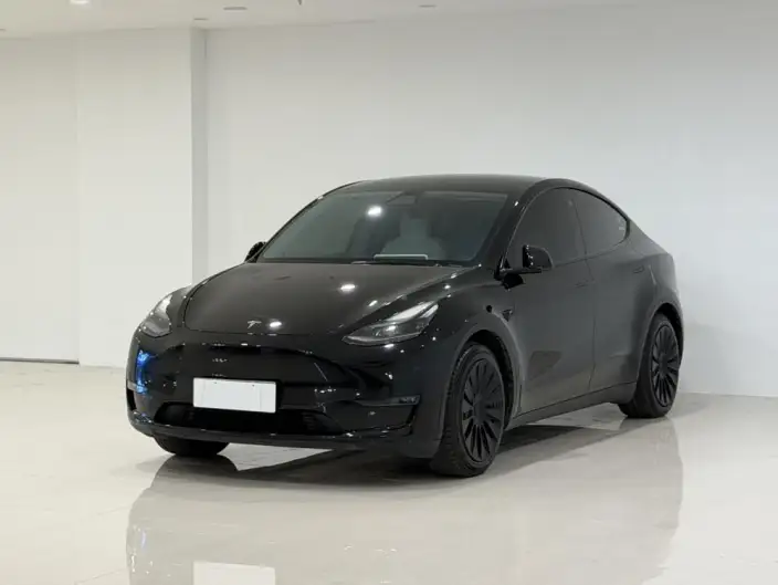 Model Y 2021 Model Standard Battery Life Rear-wheel drive version – фото 1