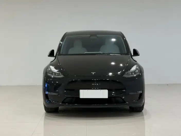 Model Y 2021 Model Standard Battery Life Rear-wheel drive version – фото 2