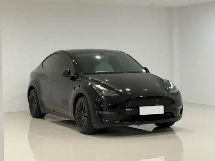 Model Y 2021 Model Standard Battery Life Rear-wheel drive version – фото 3