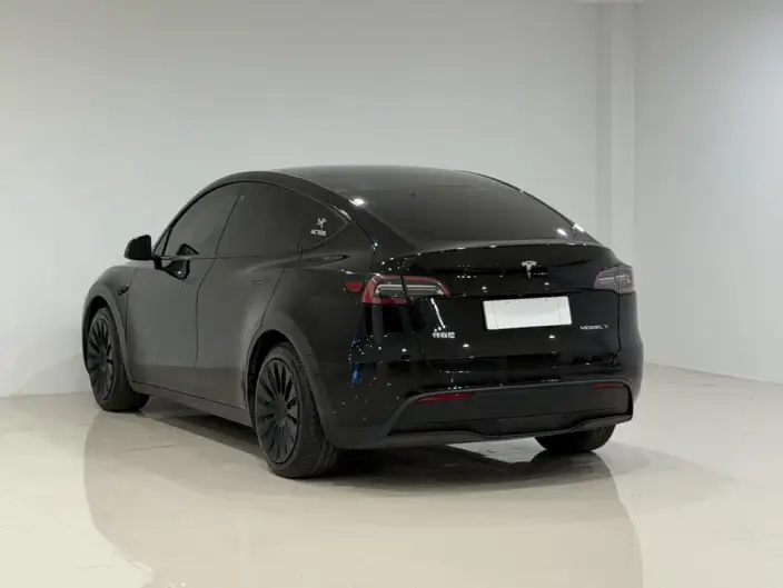 Model Y 2021 Model Standard Battery Life Rear-wheel drive version – фото 4