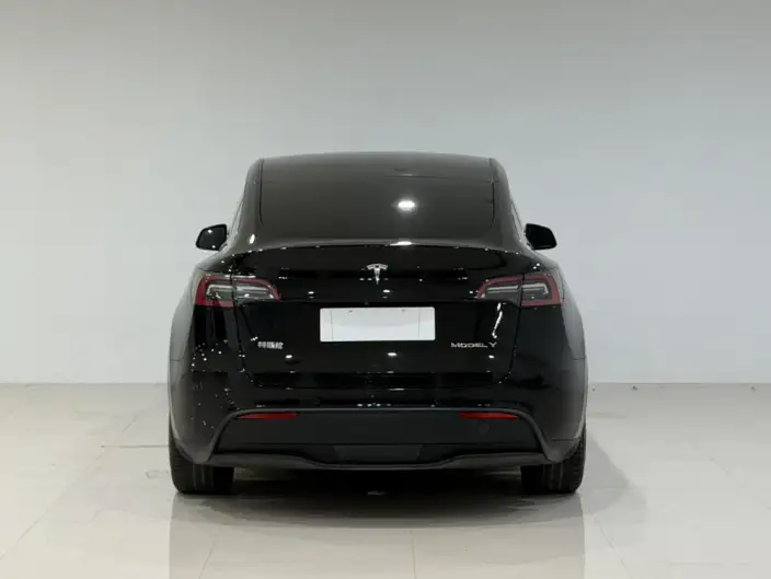 Model Y 2021 Model Standard Battery Life Rear-wheel drive version – фото 5
