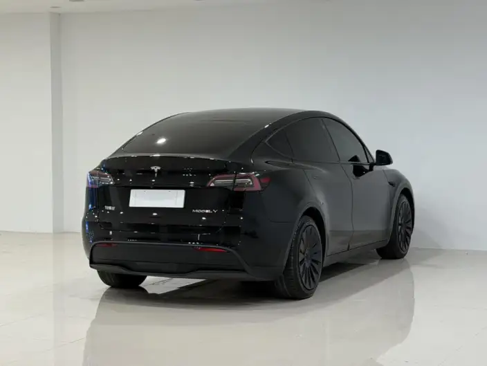 Model Y 2021 Model Standard Battery Life Rear-wheel drive version – фото 6