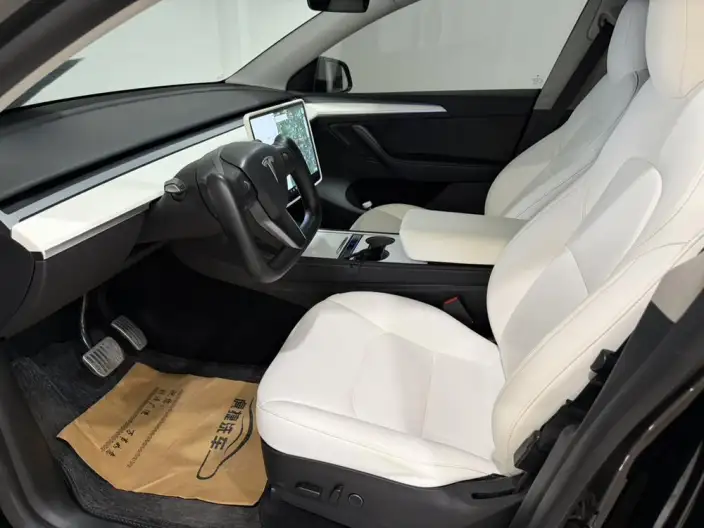 Model Y 2021 Model Standard Battery Life Rear-wheel drive version – фото 9