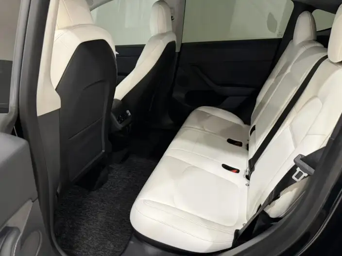Model Y 2021 Model Standard Battery Life Rear-wheel drive version – фото 10