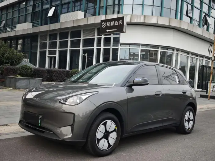 Geely Galaxy StarWish 2025 Model 310km Youth Edition