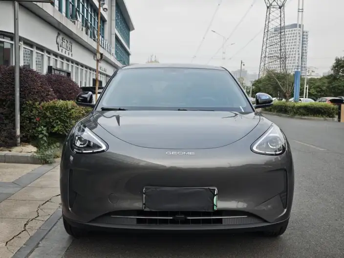 Geely Galaxy StarWish 2025 Model 310km Youth Edition