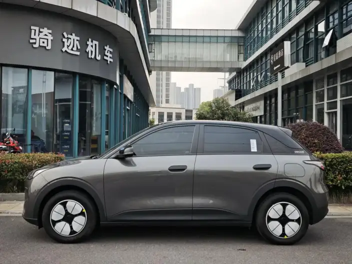 Geely Galaxy StarWish 2025 Model 310km Youth Edition