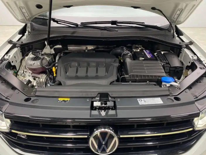 Tiguan X 2023 Model Facelift 330TSI 2WD Respect Ultimate Edition – фото 7